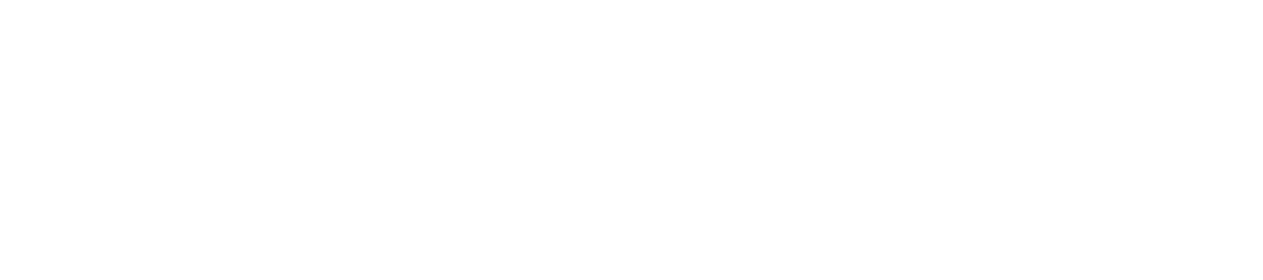 SP_logo_onwhite1